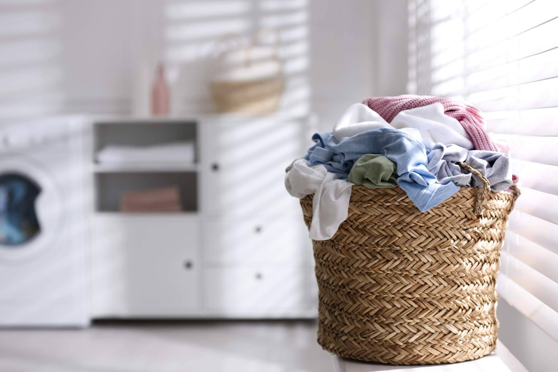 EcoCleans ofrece su servicio de lavandería y tintorería a domicilio -  Cantabria Económica
